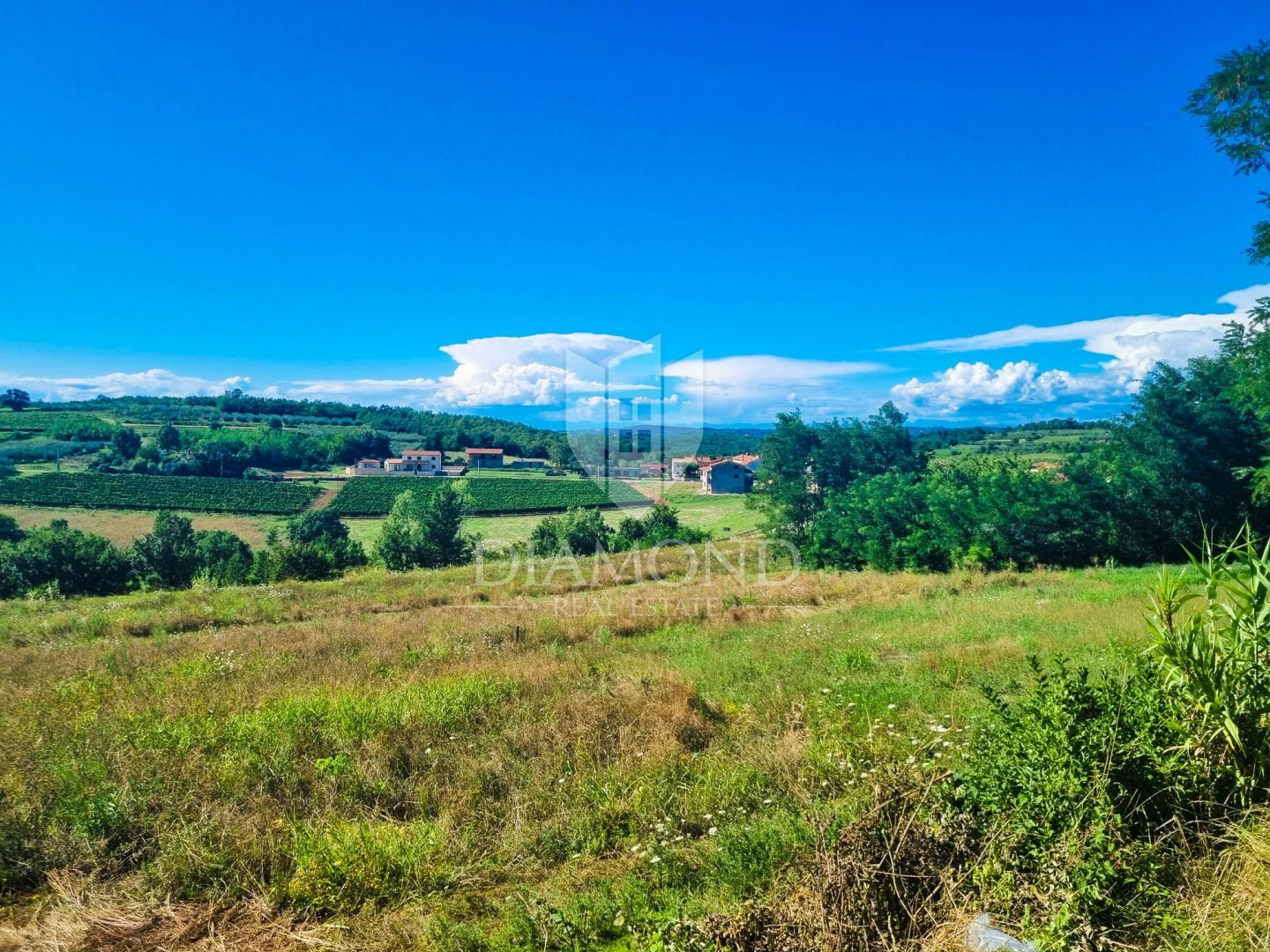 Fotografija