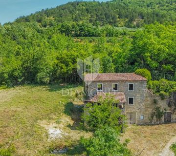 Motovun okolica, kuća za adaptaciju okružena prirodom - cover