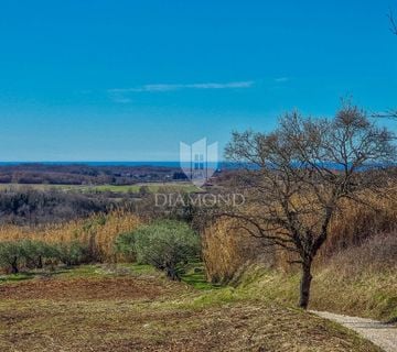 Buje! Predivno zemljište sa panoramskim pogledom na more! - cover