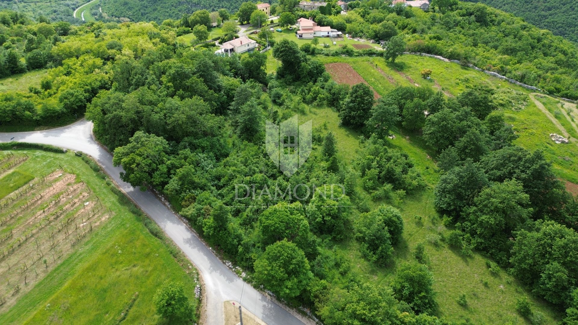 Fotografija