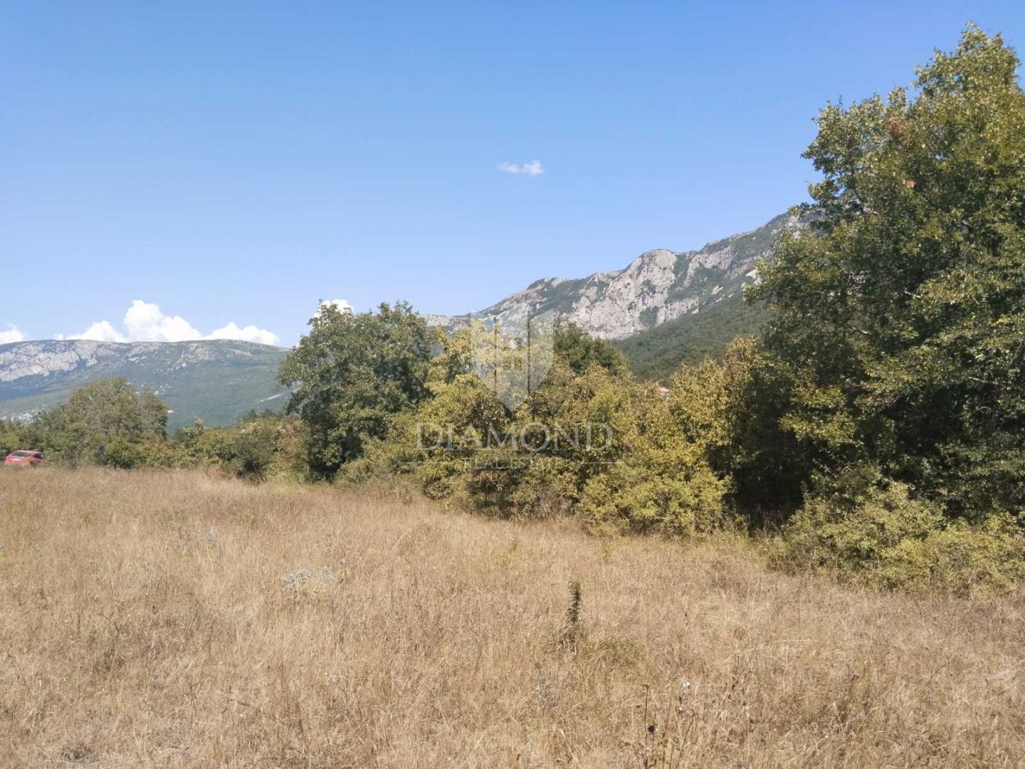 Fotografija