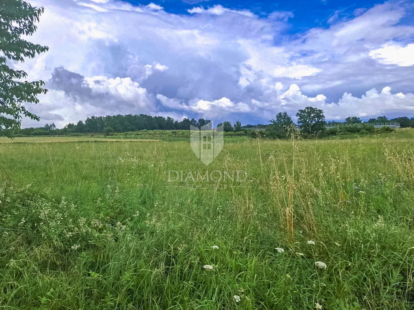 Fotografija