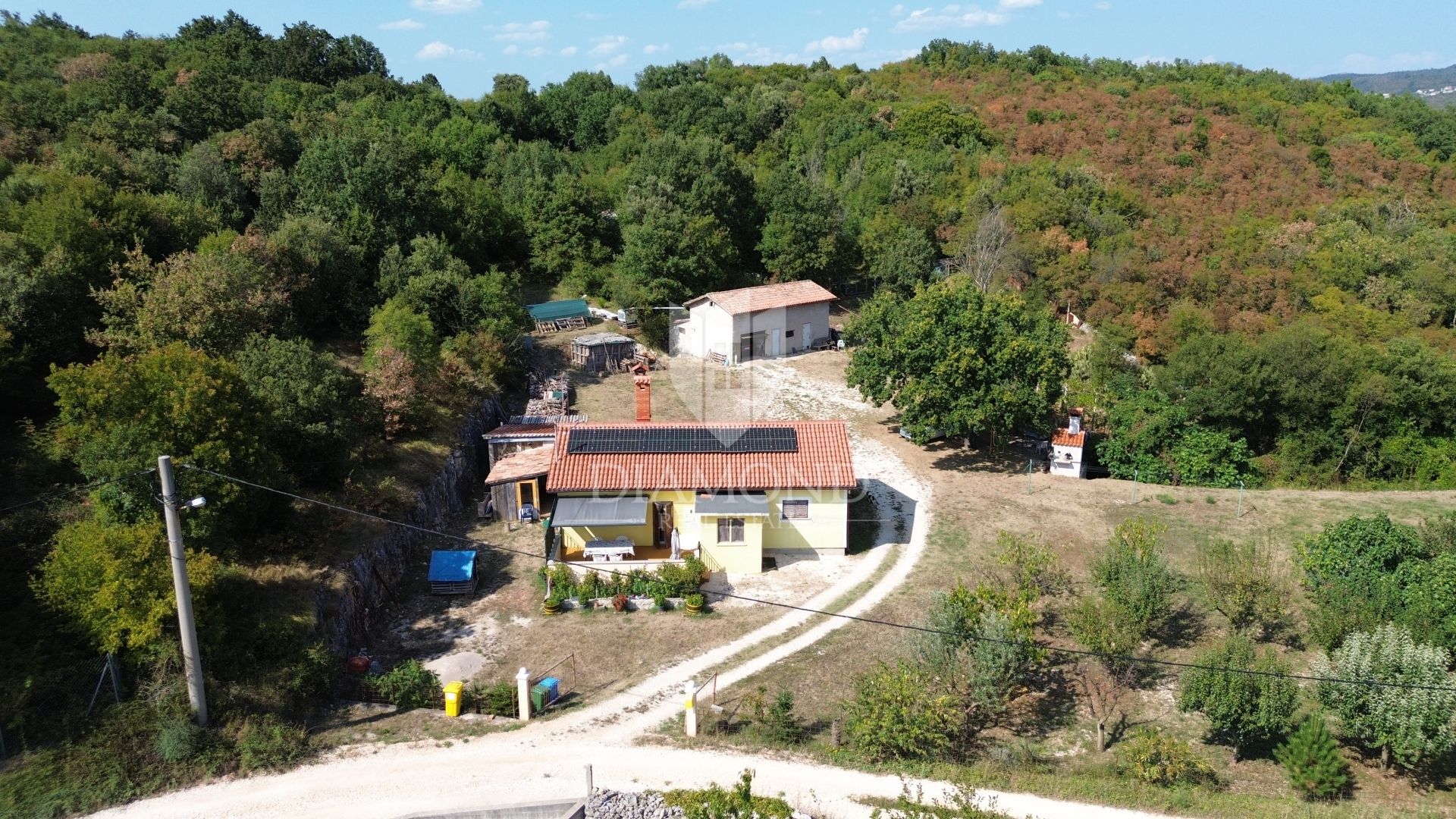 Fotografija