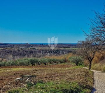 Buje! Prostrano zemljište sa panoramskim pogledom na more! - cover