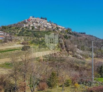 Kuća sa otvorenim pogledom na Motovun - cover