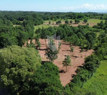 Barban, okolica, građevinsko zemljište na lijepoj lokaciji - cover