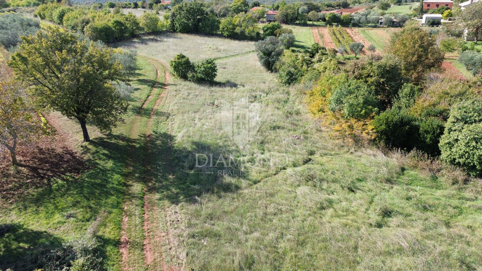 Fotografija