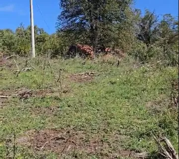 Tržić Primišljanski, zemljište 77.083m2, idealno za seoski turizam i ljubitelje prirode! - cover