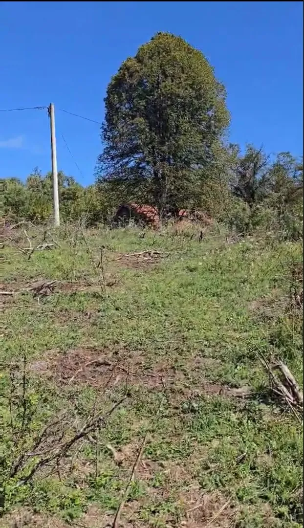 Tržić Primišljanski, zemljište 77.083m2, idealno za seoski turizam i ljubitelje prirode! - cover