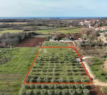 Kombinacija građevinskog i poljoprivrednog zemljišta kraj Poreča