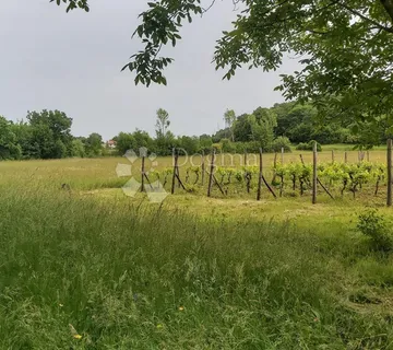 Poljoprivredno zemljište i vinograd - Labin