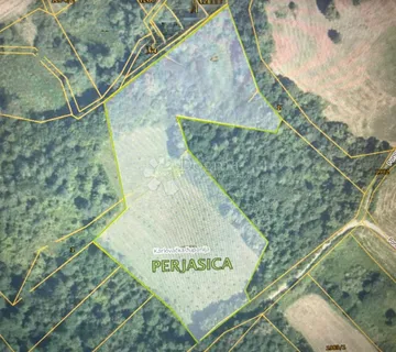 Polje lješnjaka na 10 995m2 - Perjasica, Barilović
