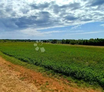Oranice u Manjadvorcima 23.775 m2 - Manjadvorci, Barban
