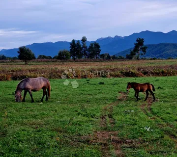 GRAĐEVINSKO ZEMLJIŠTE DIVOSELO 50093 m2 - Divoselo, Gospić
