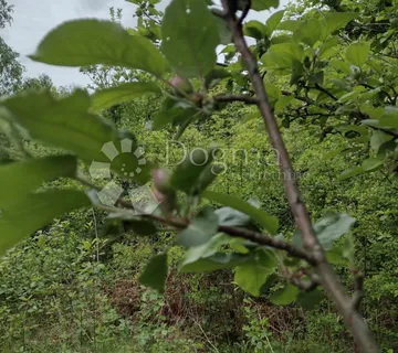 Zemljište za eko poljoprivredu, Dugo Selo Lasinjsko - Dugo Selo Lasinjsko, Gvozd