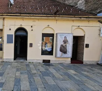 Poslovni prostor u srcu Siska - Sisak