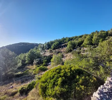Veliko poljoprivredno zemljište s kućicom - uvala Gršćica 15.512, m2 - cover