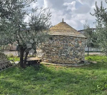 Maslinik sa kamenim kažunom površine 15 m2, 1,5 km od mora - Šegotići, Marčana