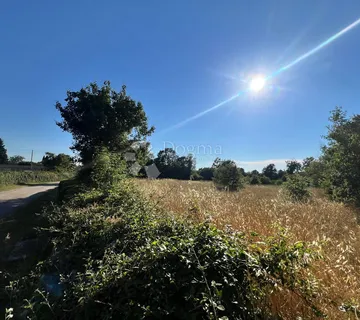 JURŠIĆI - Građevinsko zemljište 849m2+113m2 put - Juršići, Svetvinčenat