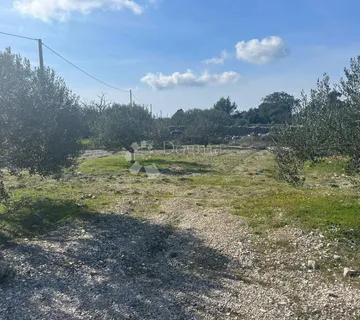 Poljoprivredno zemljište,Maslinik- - Sevid, Marina