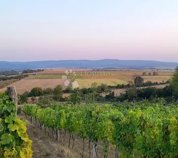 Kutjevo - Bajkovito Imanje Velikog Potencijala - Gradište, Kutjevo