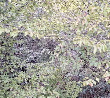 Poljoprivredni teren Garica - Garica, Vrbnik