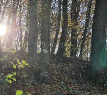 Šuma i pašnjak 7.182m² u Selnu kod Krapinskih Toplica - Selno, Krapinske Toplice