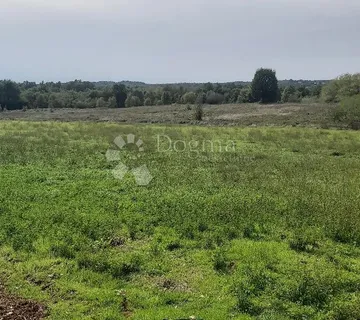 Poljoprivredno zemljište, livada - Barban