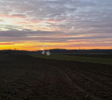 Idealno zemljište za obiteljsku kuću i vlastiti vrt - Miklavec, Podturen