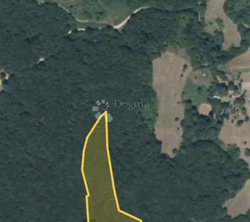 Šuma Gorići (Švica) 14000m2 - Švica, Otočac