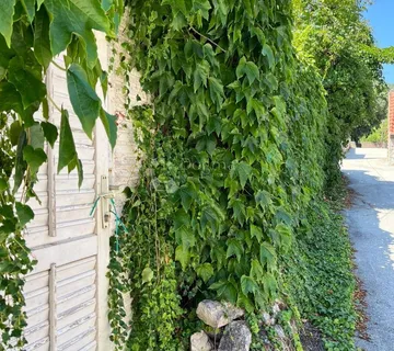 Kamena kuća sa velikim dvorištem za potpunu adaptaciju - Potomje, Orebić