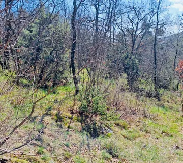 POLJOPRIVREDNO ZEMLJIŠTE – 7.399 m² – KALAC,PRODAJA! - Marinići, Viškovo