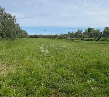 Građevinsko zemljište Umag