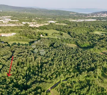Poljoprivredno zemljište / šuma u okolici Labina