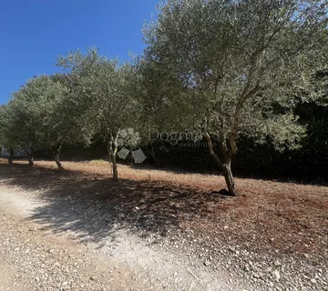 PRILIKA! GRAĐEVINSKA PARCELA 500 m2 - Barban