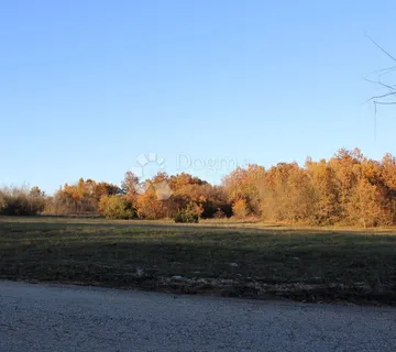 Prostrano poljoprivredno zemljište uz cestu,Kanfanar 13.000 m2