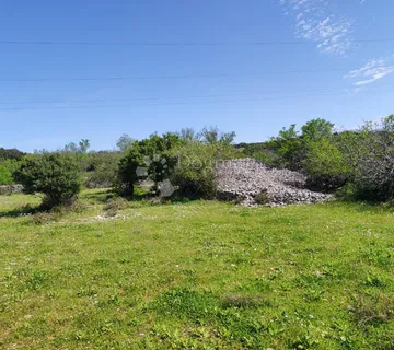 Brač, Selca – poljoprivredno zemljište 11.274 m²