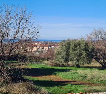 Istra, poljoprivredna parcela u Lovrečkom polju - Sveti Lovreč Pazenatički