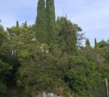 Poljoprivredno zemljište u Močićima - Močići, Konavle