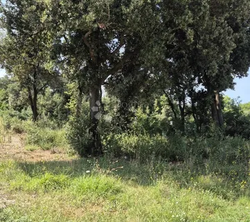 Poljoprivredno zemljište u Peroju - Peroj, Vodnjan