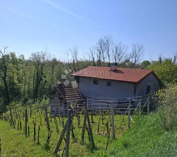Stražinec – klet s vinogradom, voćnjakom, površine 1.200 m² - Orehovec, Sveti Petar Orehovec