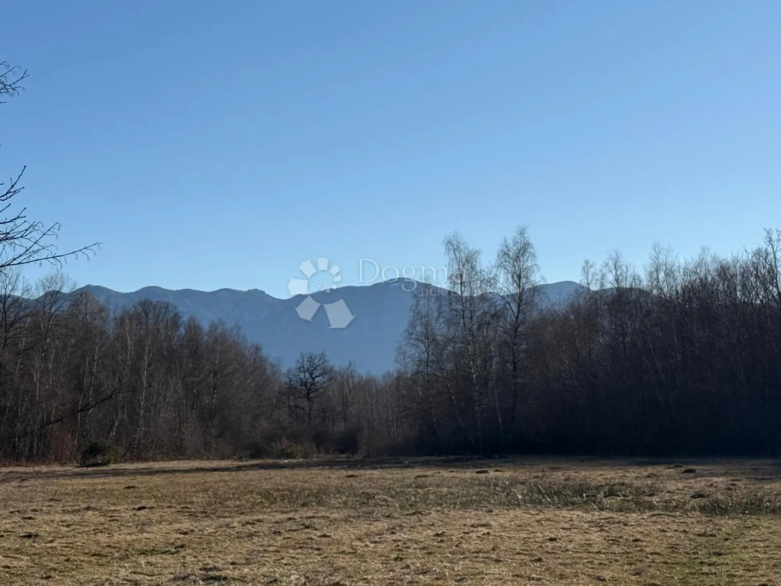 Fotografija