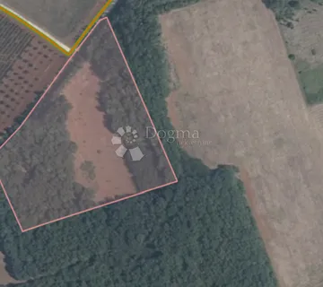 Poljoprivredno zemljište sa šumom - Kaštelir, Kaštelir - Labinci
