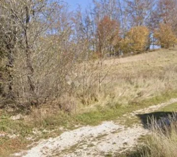 MJEŠOVITO ZEMLJIŠTE - STARI LAZ - cover