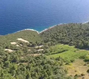 Prilika života - OPG u srcu Dingača - Potomje, Orebić