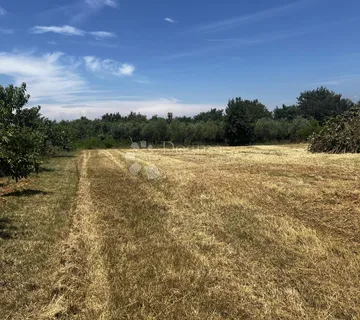 Osunčano građevinsko zemljište pravilnog oblika - Kaštelir, Kaštelir - Labinci