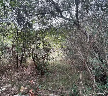 Poljoprivredno zemljište 1200m od mora - Peruški - Peruški, Marčana