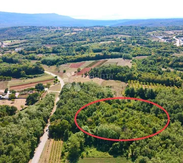 PROSTRANA ŠUMA POVRŠINE 11669m2, BLIZINA NASELJA!! - Barban