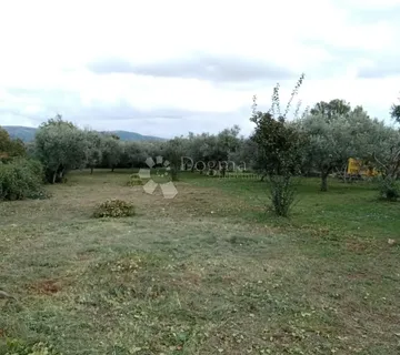Prostrano građevinsko zemljište s maslinama - Rakalj, Marčana