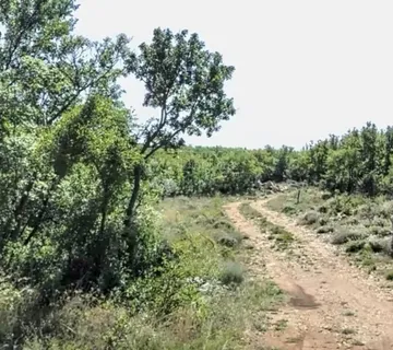 Donji Zagon,poljoprivredno zemljište - Donji Zagon, Novi Vinodolski
